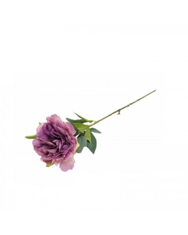 PE DE PEONIA PURPURA 80cm