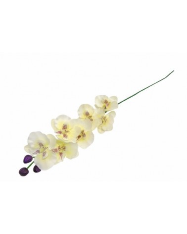 PE ORQUIDEA 63CM